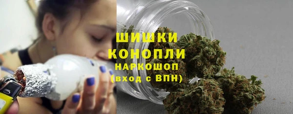 PSILOCYBIN Каменка