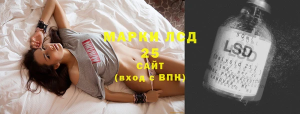 PSILOCYBIN Каменка