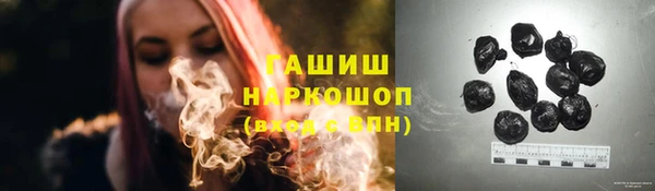 PSILOCYBIN Каменка