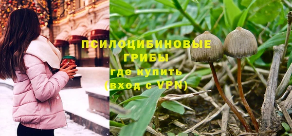 гашик Каменск-Шахтинский