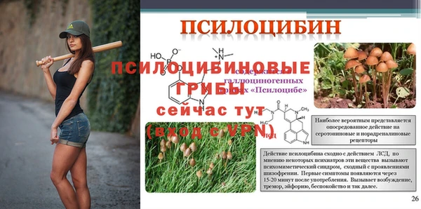 PSILOCYBIN Каменка