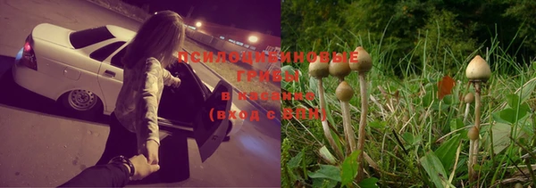 гашик Каменск-Шахтинский