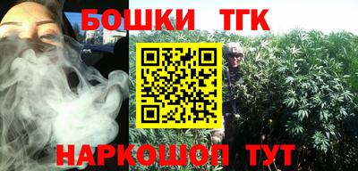 индика Балашиха