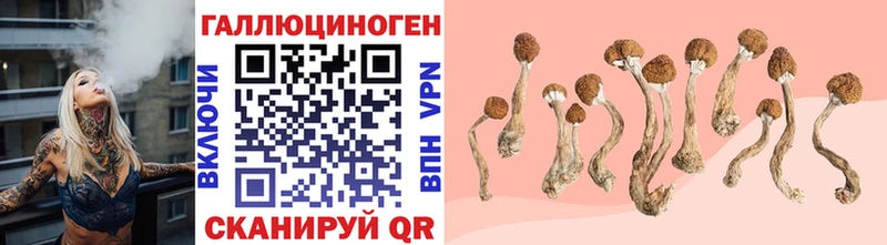 MEGA ONION  где можно купить наркотик  Каменск-Уральский  Галлюциногенные грибы прущие грибы 