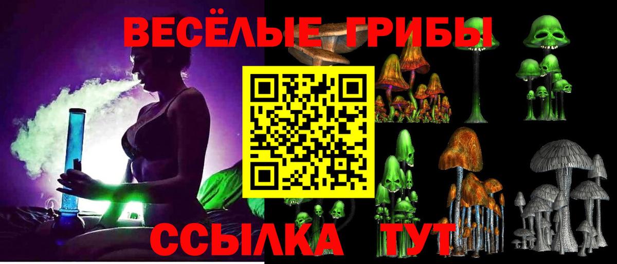 Галлюциногенные грибы Cubensis  Галлюциногенные грибы Magic Shrooms  Каменск-Уральский  Вход с VPN 