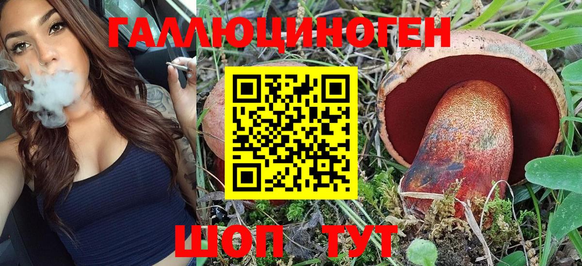 цены   Каменск-Уральский  Псилоцибиновые грибы Psilocybine cubensis 